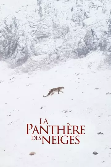 La Panthère des neiges