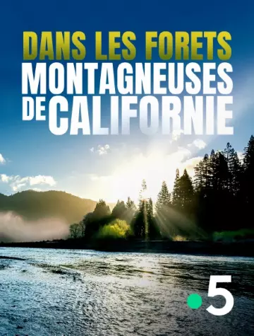 Dans les forets montagneuses de Californie