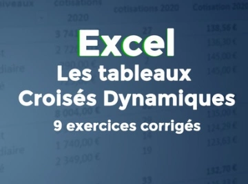 Les Tableaux Croisés Dynamiques  9 exercices et corrigés [Tutoriels]