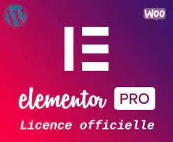 Blogueur - Créez le thème de votre site avec Elementor PRO  [Tutoriels]