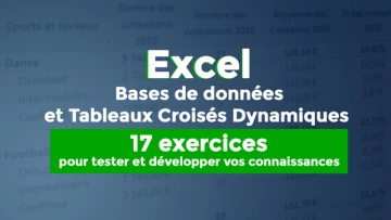 Bases de données et Tableaux Croisés Dynamiques : 17 exercices pour tester ou développer               vos connaissances  [Tutoriels]