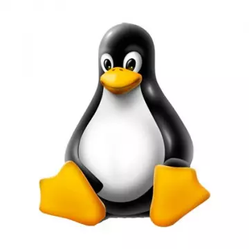 Linux : Installation et administration  [Webmaster]