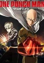 ONE PUNCH MAN - T01 À T17 [Mangas]