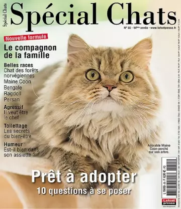 Spécial Chats N°55 – Avril-Juin 2022 [Magazines]