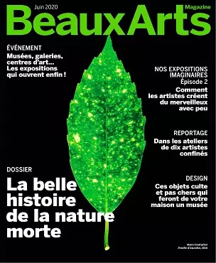 Beaux Arts Magazine N°431 – Juin 2020  [Magazines]