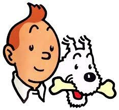 Tintin - Intégrale 24 Albums  [BD]