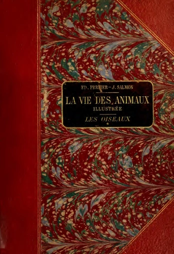 La vie des animaux illustrée • Les Oiseaux - Vol 2 [Livres]