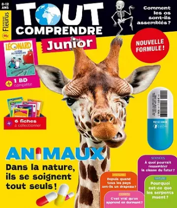 Tout Comprendre Junior N°101 – Septembre 2021 [Magazines]