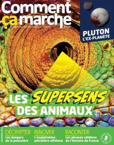 Comment Ça Marche - Novembre 2023 [Magazines]