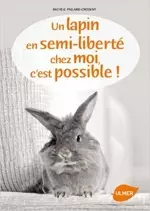 Un lapin en semi-liberté chez moi,  c'est possible !  [Livres]