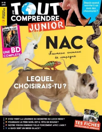 Tout Comprendre Junior - Décembre 2019 [Magazines]