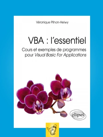 VERONIQUE PLIHON HEIWY - VBA L'ESSENTIEL [Livres]