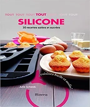 Tout silicone [Livres]