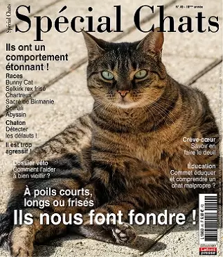 Spécial Chats N°49 – Octobre-Décembre 2020  [Magazines]