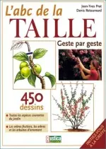 L'ABC de la taille geste par geste  [Livres]