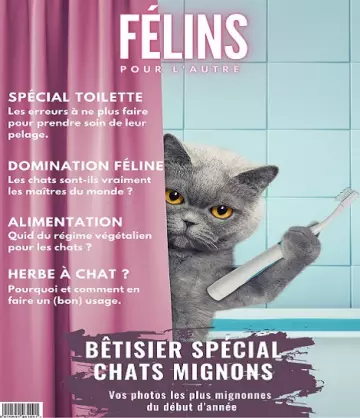 Félins Pour L’autre N°10 – Avril 2022 [Magazines]