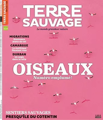 Terre Sauvage N°386 – Mars 2021 [Magazines]