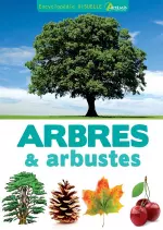 Encyclopédie visuelle des arbres & arbustes [Livres]