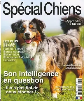 Spécial Chiens N°54 – Octobre-Décembre 2021 [Magazines]