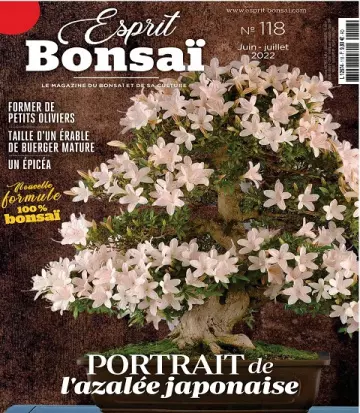 Esprit Bonsaï N°118 – Juin-Juillet 2022 [Magazines]