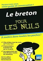 LE BRETON POUR LES NULS [Livres]