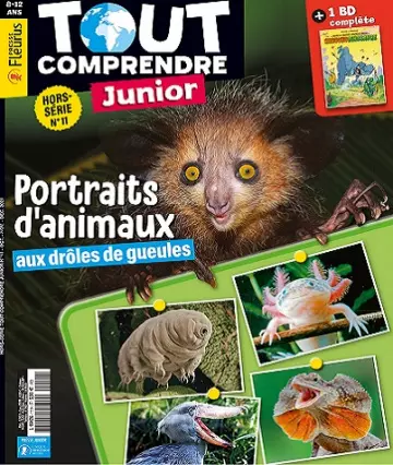 Tout Comprendre Junior Hors Série N°11 – Octobre-Décembre 2021  [Magazines]