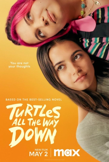 Turtles All The Way Down  [WEBRIP 720p] - FRENCH