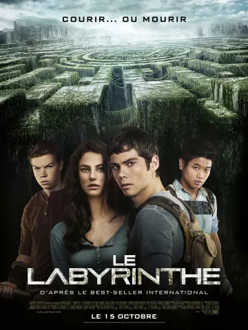 Le Labyrinthe  [BDRIP] - TRUEFRENCH