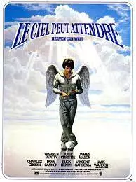 Le Ciel peut attendre [WEBRIP] - FRENCH