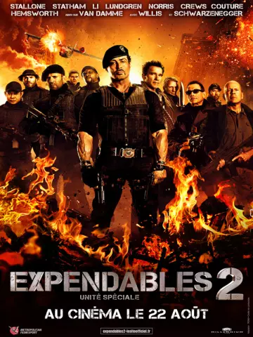 Expendables 2: unité spéciale [HDLIGHT 1080p] - MULTI (TRUEFRENCH)