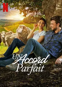 Un accord parfait  [HDRIP] - FRENCH