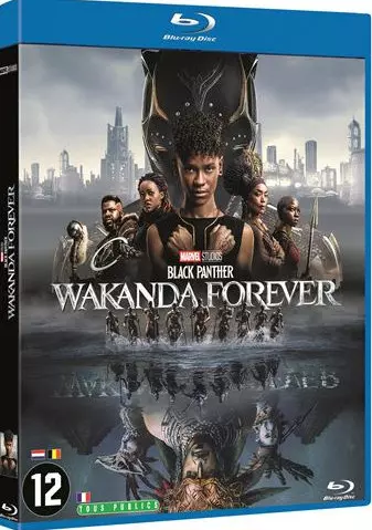 Black Panther : Wakanda Forever  [HDLIGHT 720p] - FRENCH