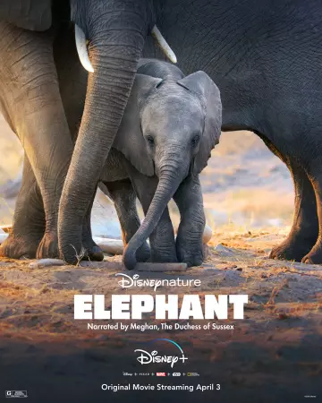 Elephant  [HDRIP] - FRENCH