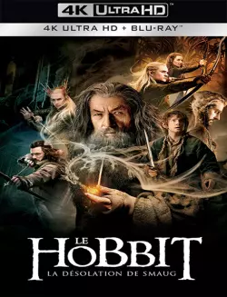 Le Hobbit : la Désolation de Smaug  [BLURAY REMUX 4K] - MULTI (FRENCH)