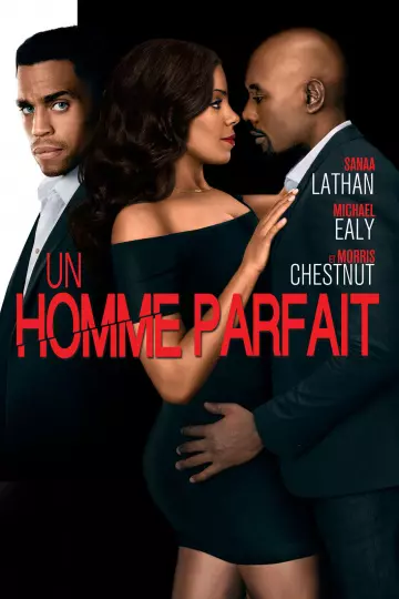 Un Homme Parfait  [DVDRIP] - FRENCH