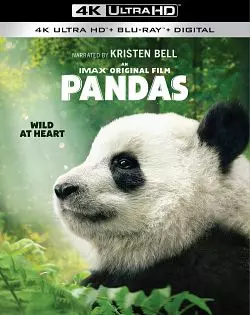 Pandas [BLURAY REMUX 4K] - MULTI (TRUEFRENCH)