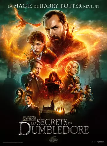 Les Animaux Fantastiques : les Secrets de Dumbledore  [BDRIP] - TRUEFRENCH