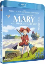 Mary et la fleur de la sorcière  [HDLIGHT 720p] - FRENCH