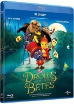 Drôles de petites bêtes [BLU-RAY 720p] - FRENCH