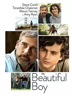 My Beautiful Boy  [BDRIP] - TRUEFRENCH