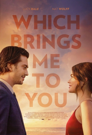 Which Brings Me to You  [WEB-DL 1080p] - MULTI (FRENCH)