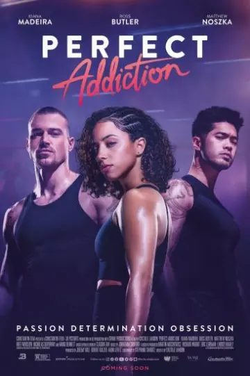 Perfect Addiction [HDRIP] - FRENCH