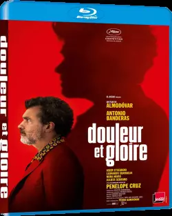 Douleur et gloire  [HDLIGHT 1080p] - MULTI (FRENCH)