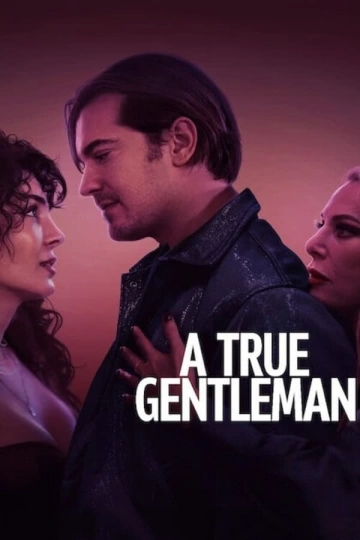 Un Parfait Gentleman  [WEBRIP 720p] - FRENCH