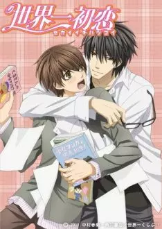 Sekaiichi Hatsukoi - vostfr