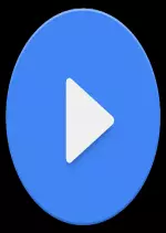 MX PLAYER PRO [AC3-DTS] V1.10.31 [Applications]