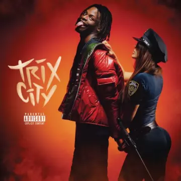 Diddi Trix - Trix City [Albums]