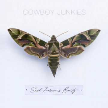 Cowboy Junkies - Such Ferocious Beauty  [Albums]