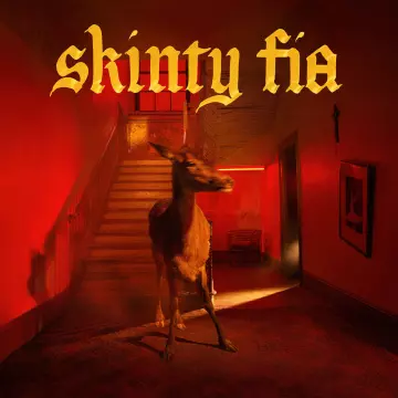 Fontaines D.C- - Skinty Fia [Albums]